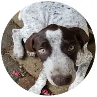 Fräulein Zella Zilberfarb