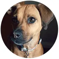 Biscuit Puckett